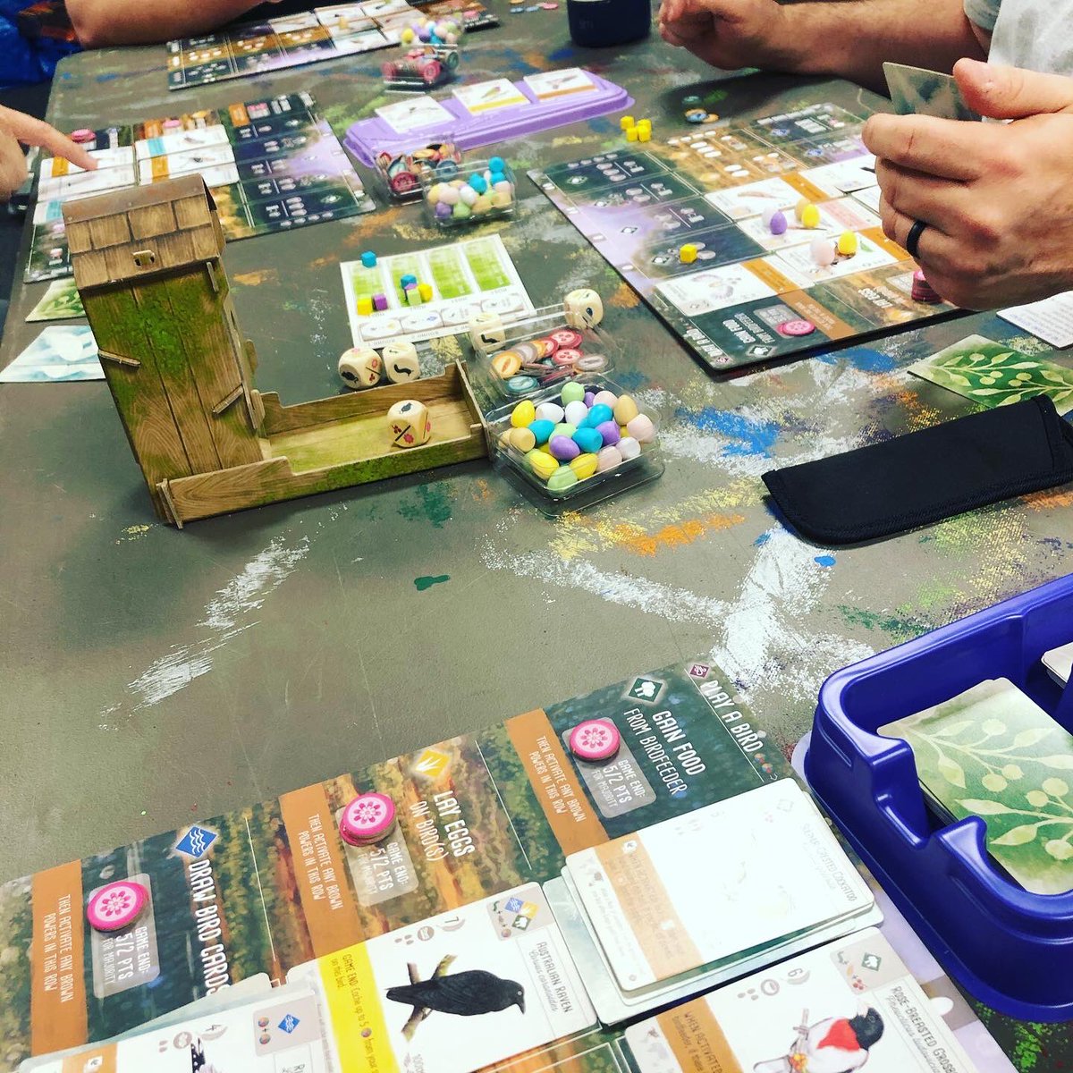 Catch2222Gaming's tweet photo. Playing #Wingspan with the #Oceania #expansion ...anyone remember what bird @adamlavazza was hoping to see in the expansion? (Hint: it was from podcast episode 10) #KyleCon #boardgames #birds #enginebuilding #wildlife #nectar #dices https://t.co/oPoPWHh07j