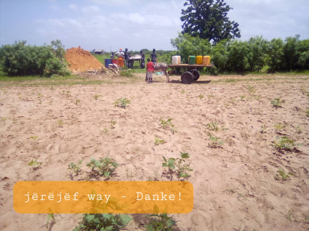CoeursEnfants's tweet photo. @CoeursEnfants ist voller #dankbarkeit und #Freude. Dank euren #Spenden können wir im #Senegal mit der 2. Etappe des Baues starten.
Du &amp; ich können @CoeursEnfants wachsen lassen.

#donate
#futureforchildren 
#gemeinsamstark
#bildung
@UNICEFSchweizFL 
@UN https://t.co/Kl6ZMKxhPr