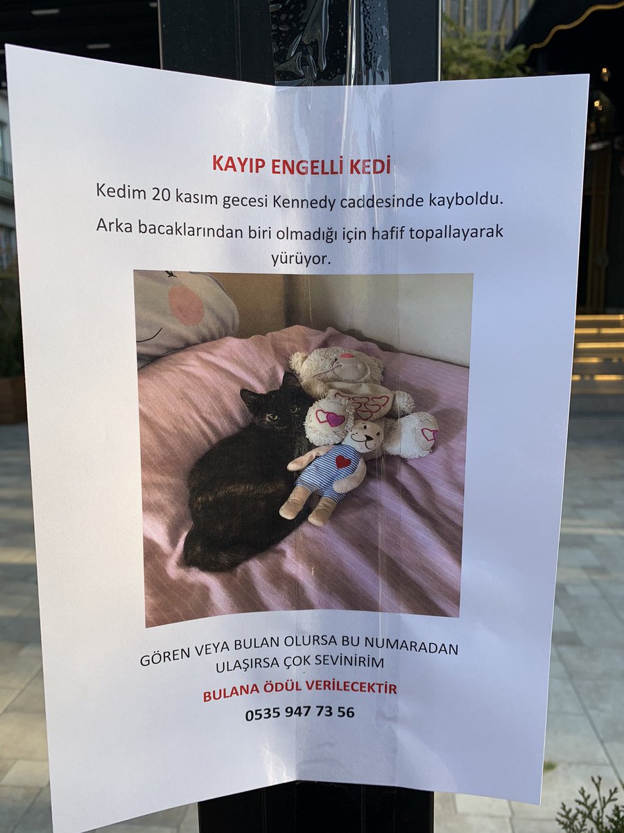 KucukkayaIsmail's tweet photo. https://t.co/RyW5LJzFAZ