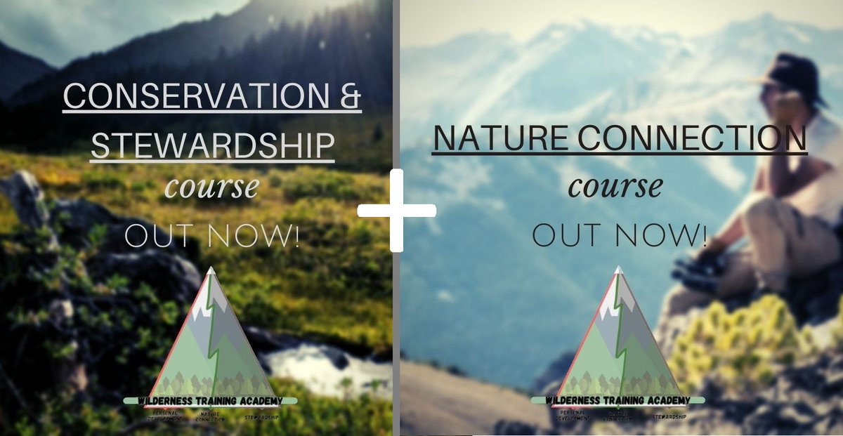Chilcotinholi's tweet photo. ..and they're live!

Go check out the Wilderness Training Academy's 2 brand new courses that complete our 3 Pillar philosophy: 
- Nature Connection
- Nature Conservation &amp; Stewardship

https://t.co/O8GqWkUpFb

#wildernesstrainingacademy #trailstoempowerment #onlinecourse https://t.co/VxoiTAjfm4
