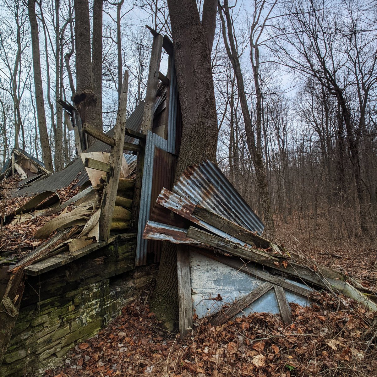 I don't know how else to describe it except pristine.