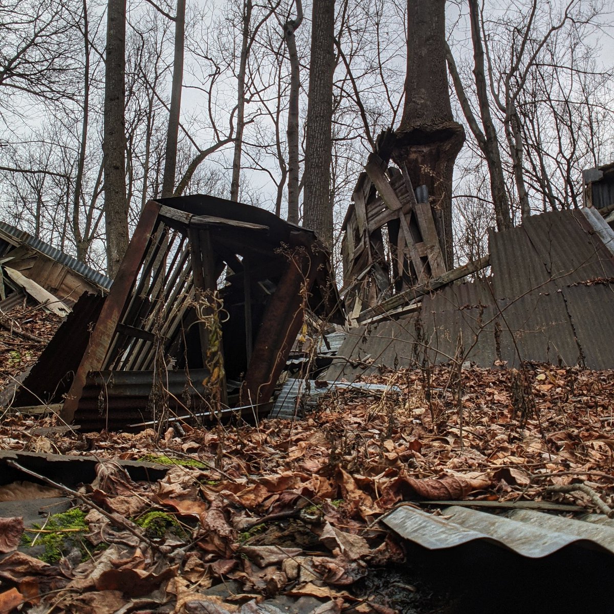 I don't know how else to describe it except pristine.