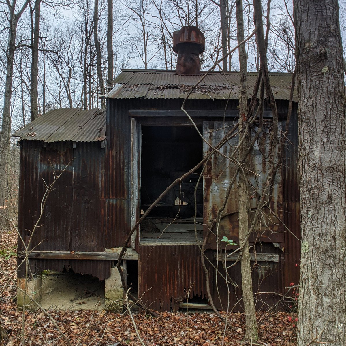 I don't know how else to describe it except pristine.