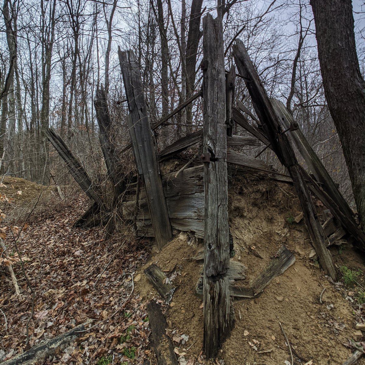 I don't know how else to describe it except pristine.