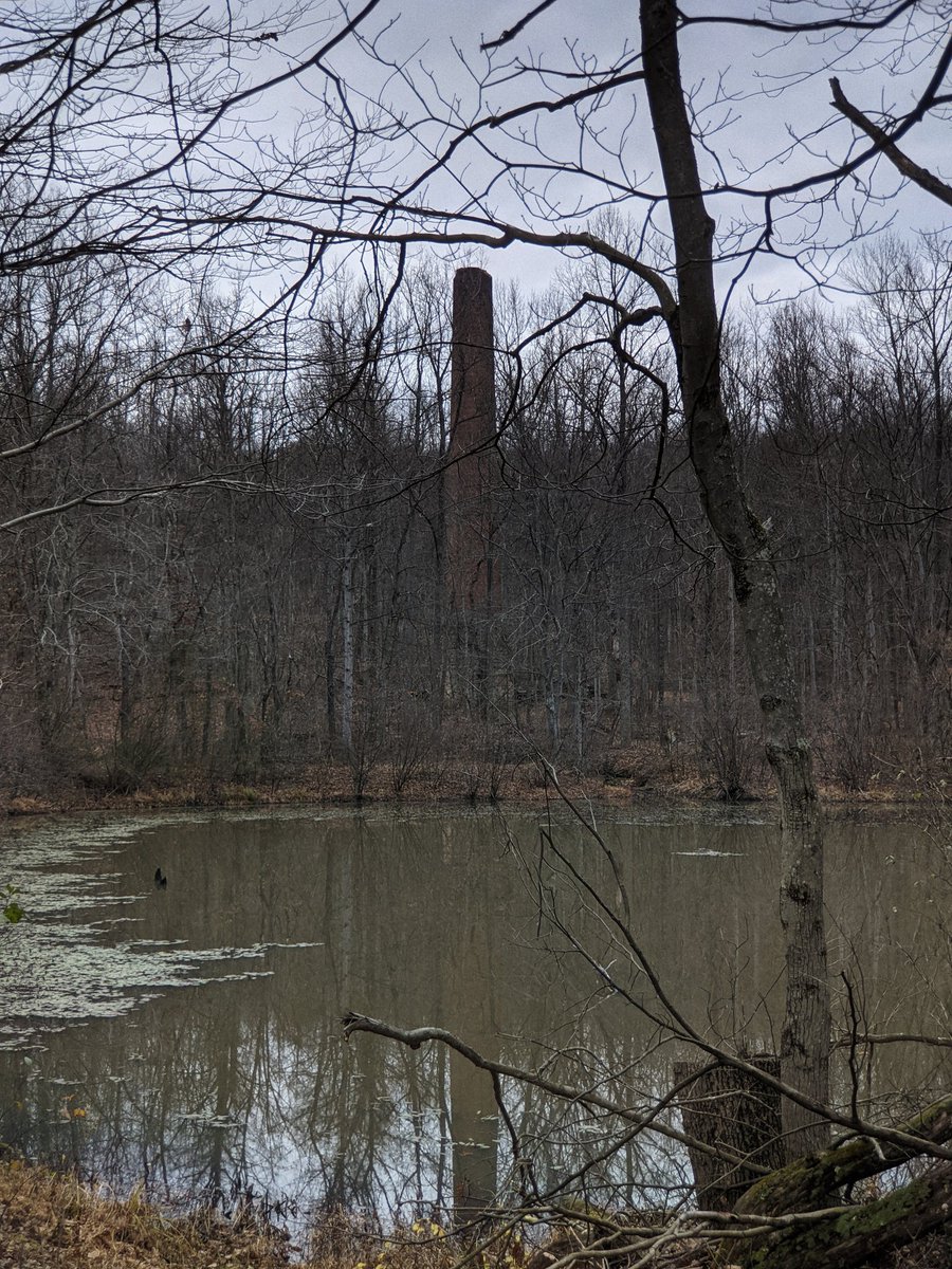 Across a scummy pond one giant smokestack remains.
