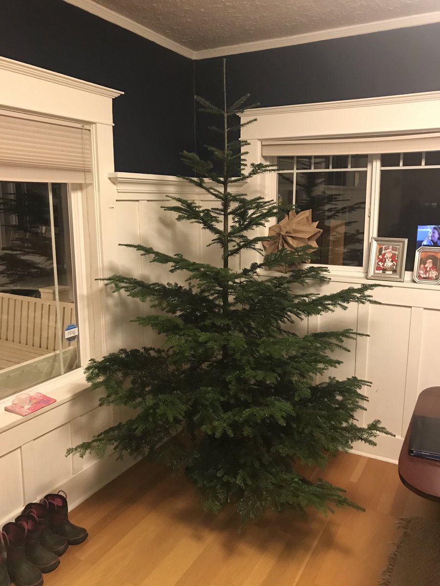 When the tree lot wants $80 but you’ve got a saw and a ⁦<a href="/Cobber_Football/">Cobber Football</a>⁩ hat.