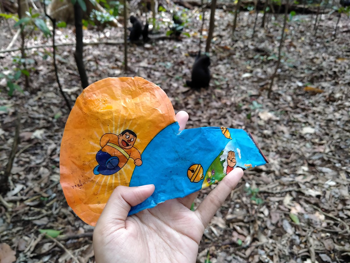 Nemu balon plastik di tengah hutan, jauh dari track yg biasa dilalui pengunjung.

Kalo bikin acara gausah pake nerbangin lampion atau balon ya guys. Bisa jadi sampah di gunung &amp; laut. Api lampion bisa bikin kebakaran. Tali dari balon bahaya kalo melilit leher hewan.