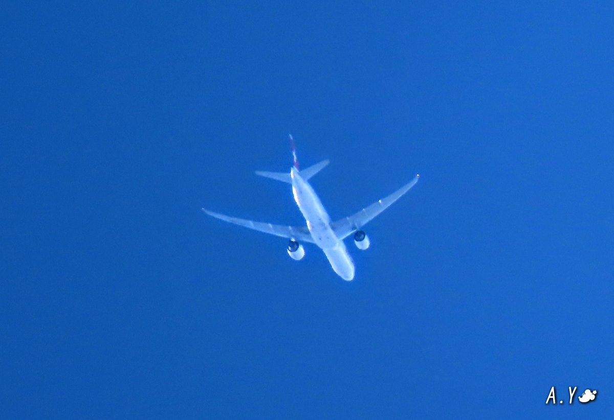 yumeasutw's tweet photo. お日様燦々☀️✨北風が吹き抜ける土曜日の朝✈️
只今の気温🌡️15℃
本日の最高気温🌡️15℃
晴れ時々曇り☀️/☁️
日が高くなるにつれ、北寄りの風が強く吹く予報です🌬️~🍂
#いまそら #イマソラ
#青空 #bluesky
#空の名前
#飛行機
#SWISS
#UPS
#航空自衛隊 #C2
#a2020 #a1128 #a202011 #a20201114 https://t.co/pWZdJkfCqw