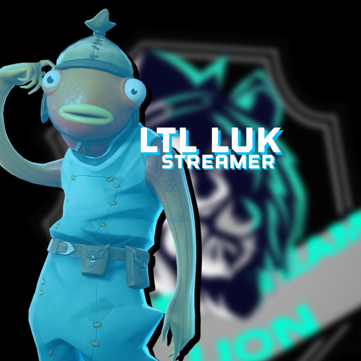 TheLionTeam2's tweet photo. New players | novo streamer | nova contratação. https://t.co/luIcSAPwaK