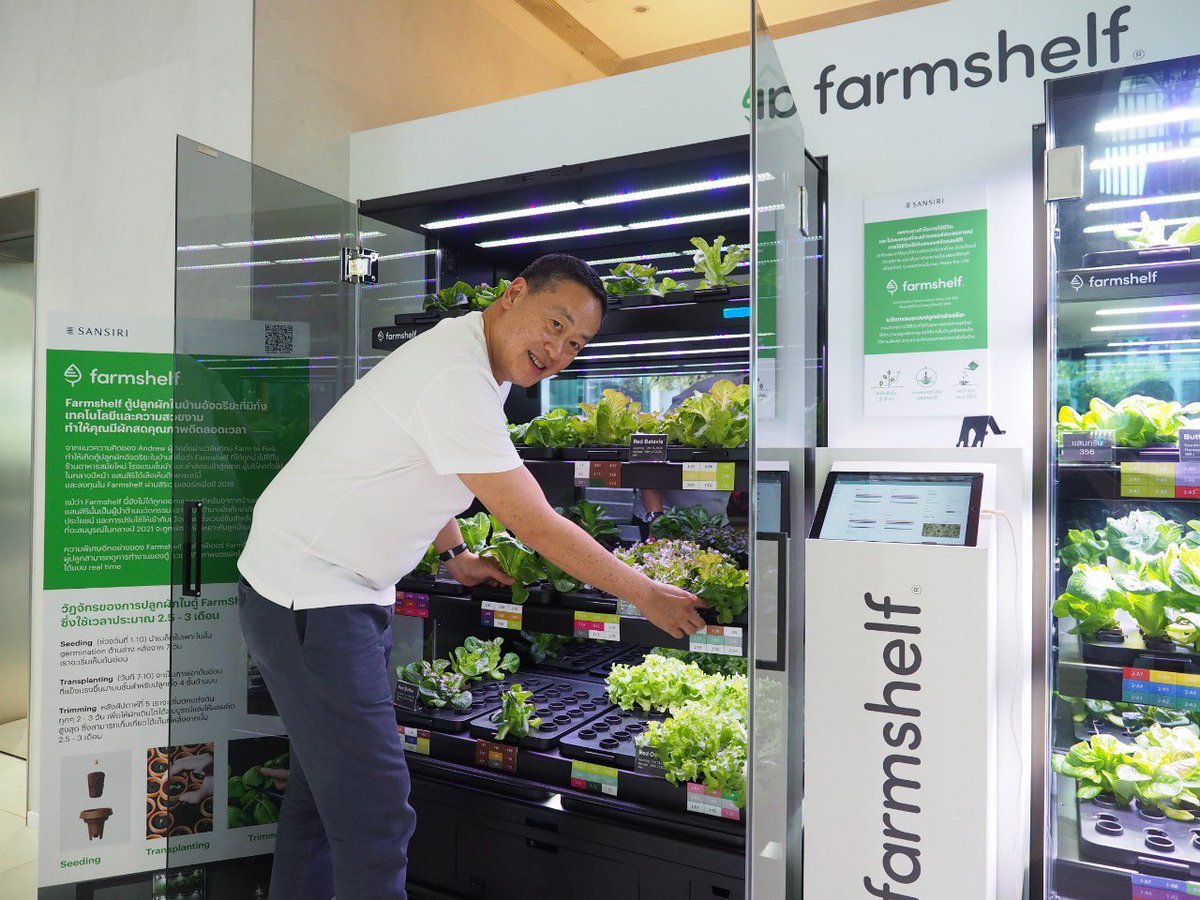 Thavisin's tweet photo. เช้านี้ทานสลัดผักจากตู้ #Farmshelf ที่เก็บมาเมื่อวาน โตเร็วและสดกรอบกว่าปลูกข้างนอกนะ ความเห็นส่วนตัวครับ ครั้งหน้าจะลองเอาผักแปลกๆเมืองหนาวจากฝั่งยุโรป/อเมริกามาลองปลูกบ้าง ถ้าปลูกได้ในบ้าน จะได้ไม่ต้องซื้อผัก import ราคาแพง https://t.co/626OnescvV