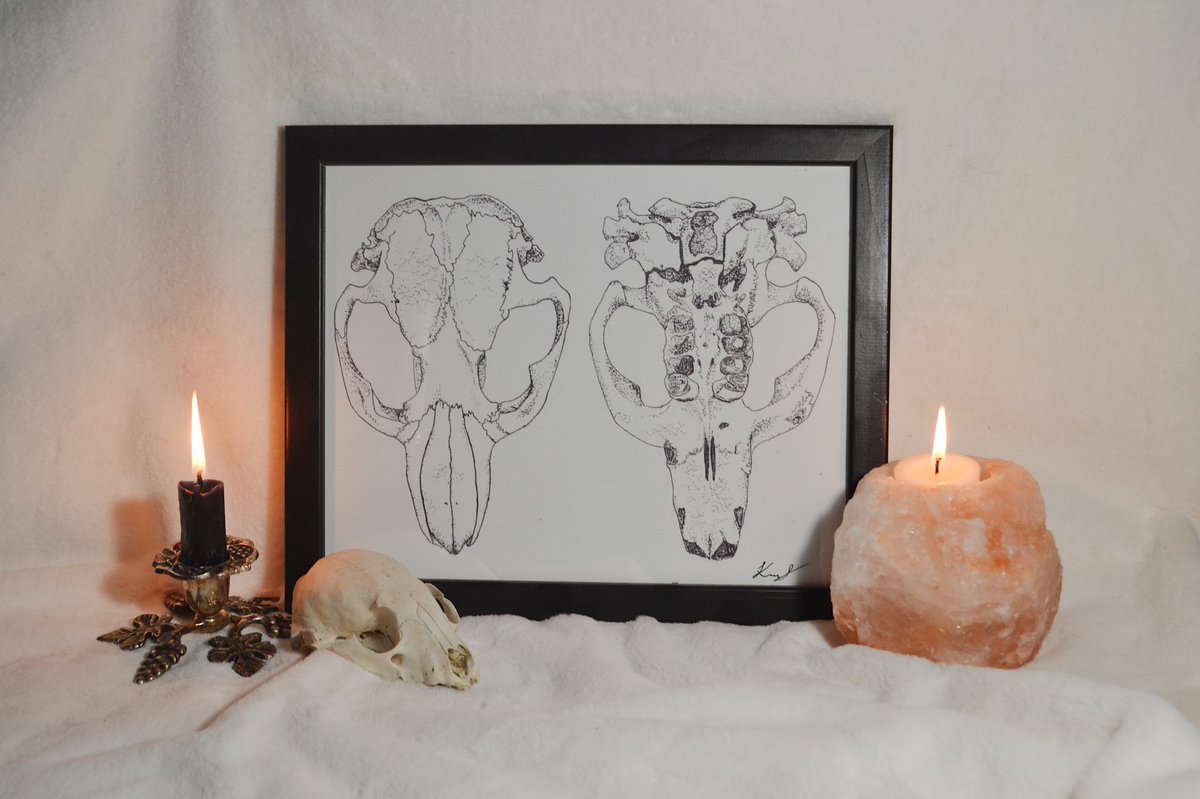 bugroot_'s tweet image. Hi ya’ll I have been making things and drawing in my spare time and I’d love to share it with you :) I love doing commissions for illustrations and knitted things so I’d love to make some gifts for you this holiday season 💓 pls read my bio for more info!