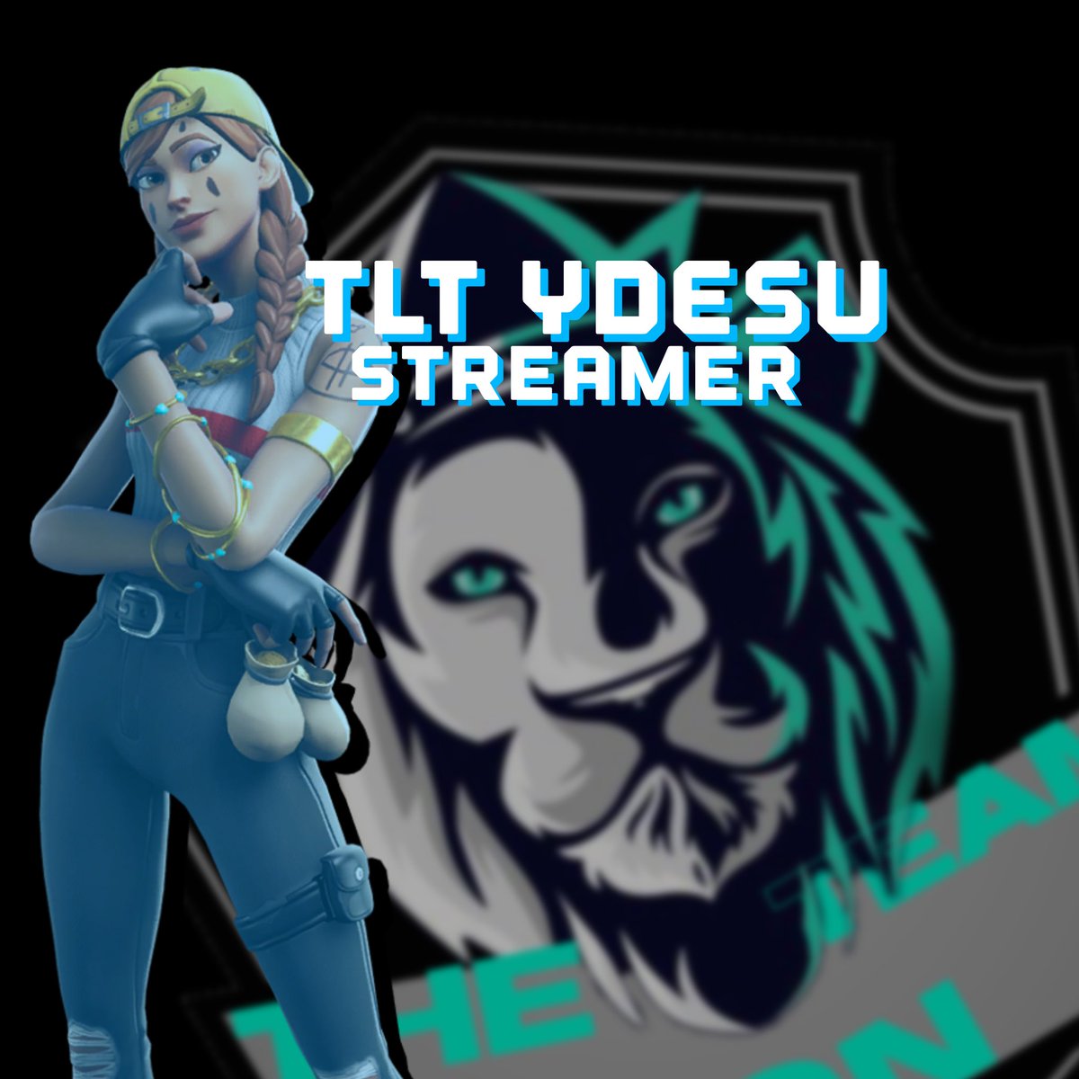 TheLionTeam2's tweet photo. New players | nova contratação | Novo streamer. https://t.co/1pYyyYMA8Y