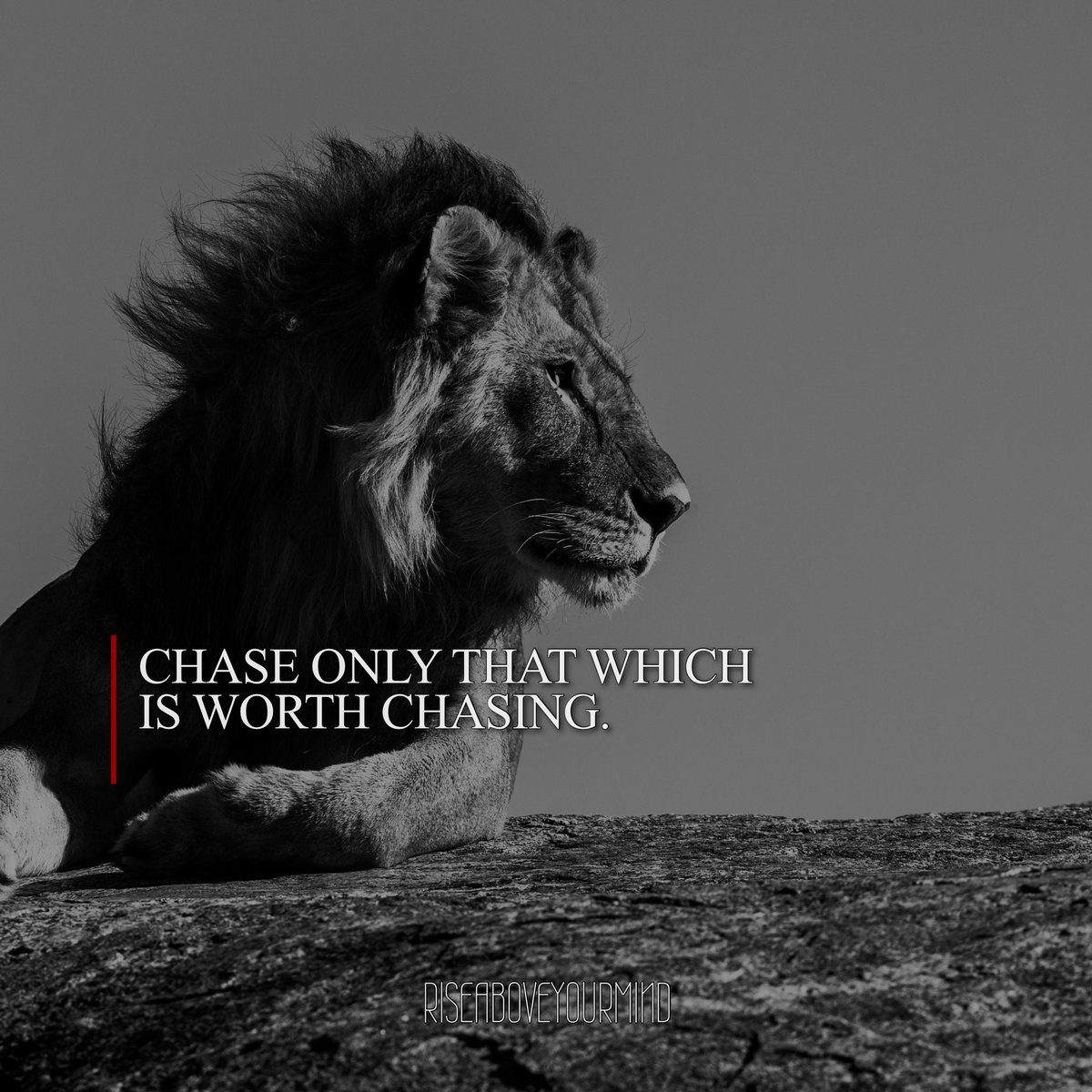 riseaboveyrmind's tweet image. Learn to determine which ones deserve the chase. Make that determination out of what is right, not out of what you like/dislike. #betrue #riseaboveyourmind #mindsethack