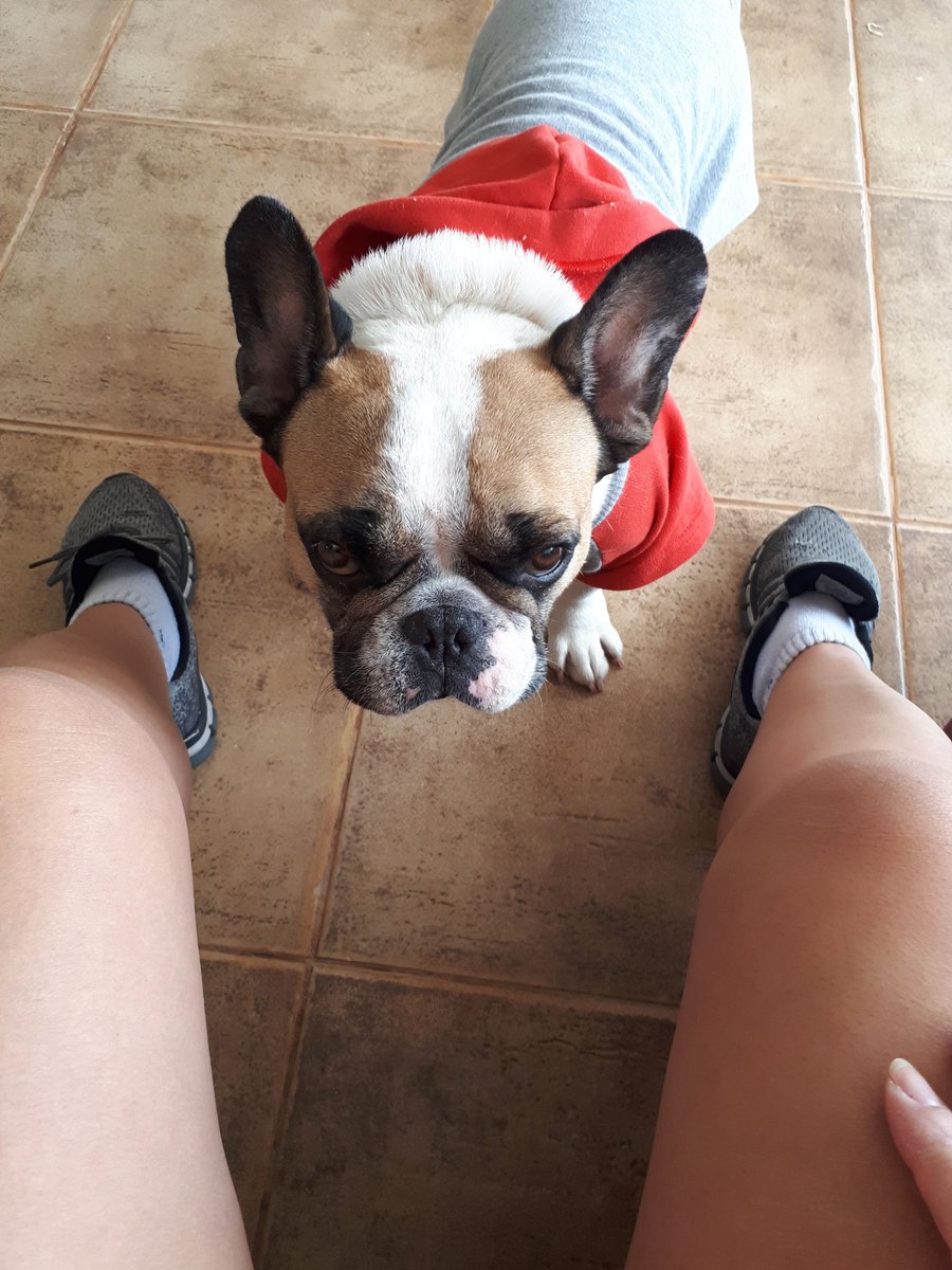 Hoje perdermos o Gordon, ele era o filhinho dos meus cunhados 😢😢