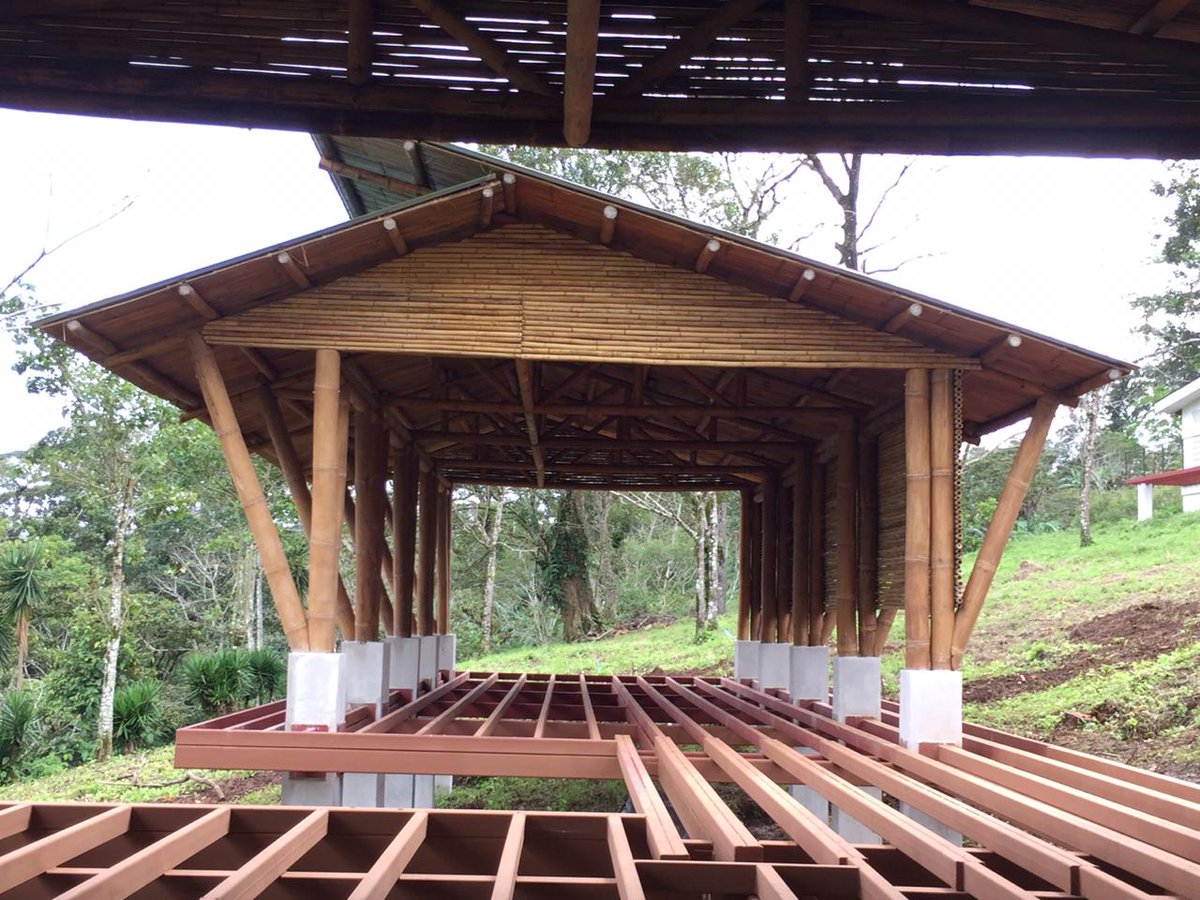 GRUPO BAMBUKSA tweet media