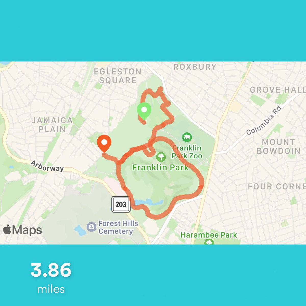 olsenvideo's tweet photo. Excited to have trotted through @FranklinParkBos for the #fpturkeytrot! Complete with actual turkeys 🦃🏆! https://t.co/xeXYtBxcVr