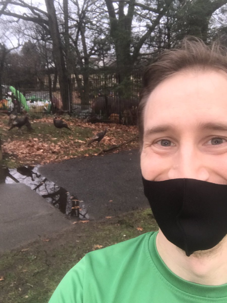 olsenvideo's tweet photo. Excited to have trotted through @FranklinParkBos for the #fpturkeytrot! Complete with actual turkeys 🦃🏆! https://t.co/xeXYtBxcVr