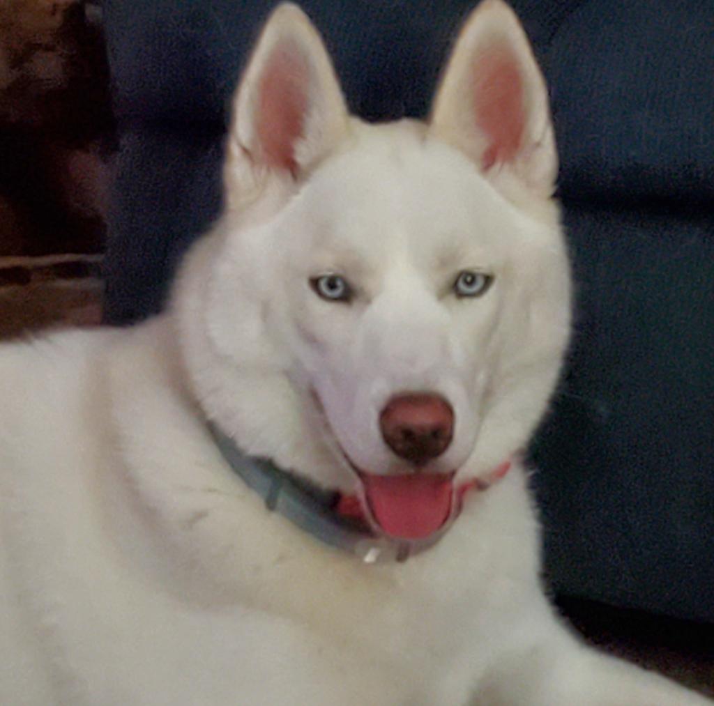 Sue Hooper (@suehoopah) on Twitter photo 