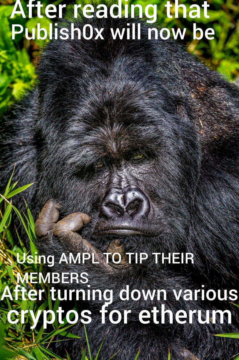 Yonpro_'s tweet photo. @publish0x 
#AMPLMeme https://t.co/gAKIpY8zVC