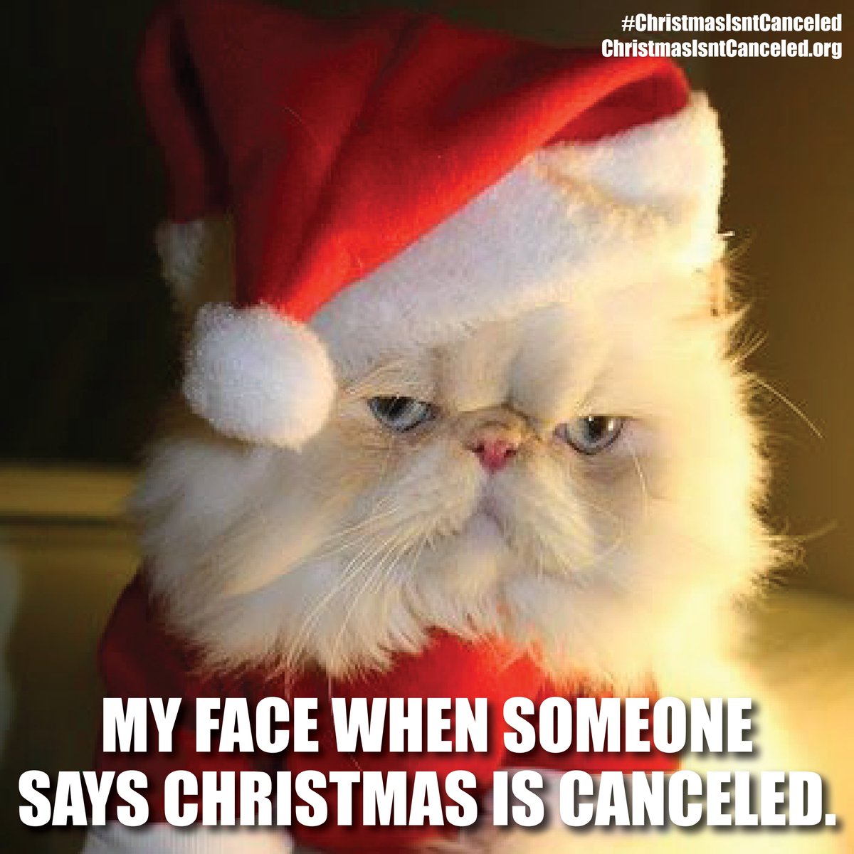 ChristmasIC's tweet photo. Tag a friend if you agree that Christmas Isn't Canceled. #ChristmasIsntCanceled https://t.co/3xsGt6LPex #MerryChristmas https://t.co/oDgpDoa4qr