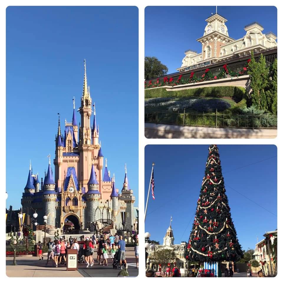 JessShaw0810's tweet photo. My hubs got better photos...
#youcouldbehere #disneyworld #magicalmousetravel #magickingdom #supportlocalbusinesses https://t.co/SLrT1XXmaF