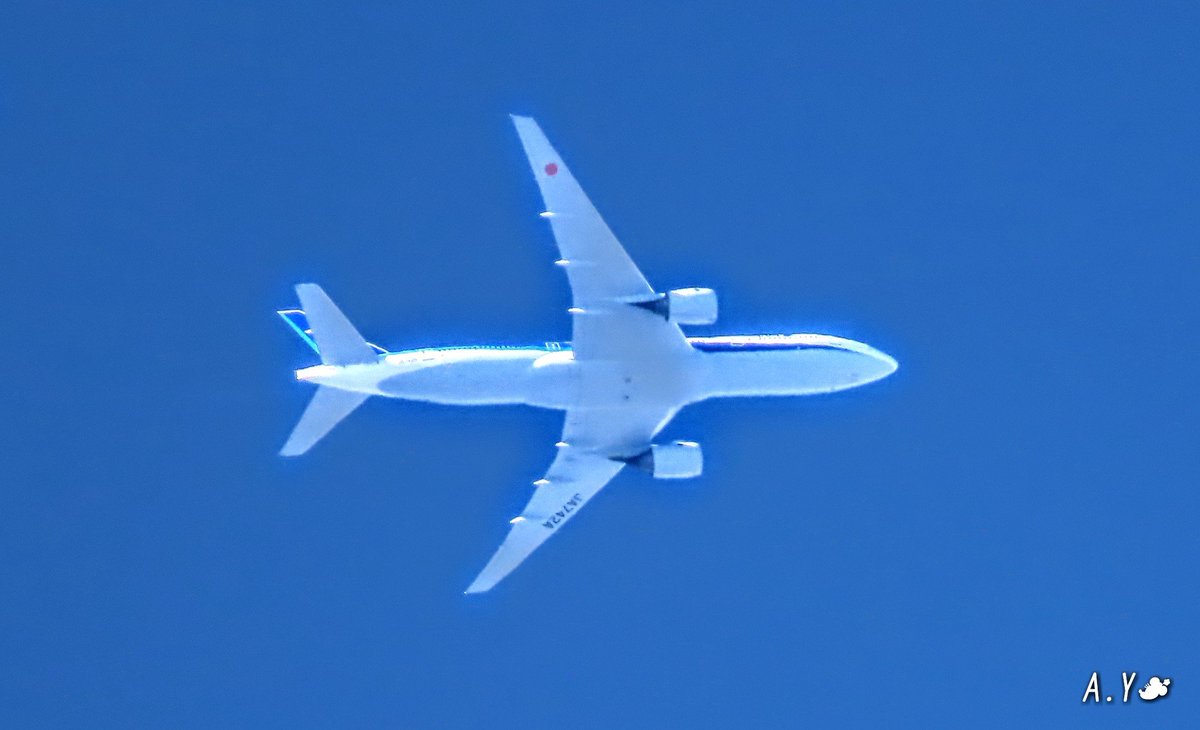 yumeasutw's tweet photo. 青空を行く✈️
🌬️北風が吹き抜ける
視界良好の青空を、
機体を✨キラキラと輝かせ
新千歳空港と函館空港を目指し
快調に飛び行く飛行機✨✈️✨
あぁ~💙
私も空を飛んで
行けたらなぁ(*´∀)ノ
#飛行機
#ANA
#ソラマニ_ヒコウキ
#青空 #bluesky
#a2020 #a1128 #a202011 #a20201114 https://t.co/duVhN3FADh