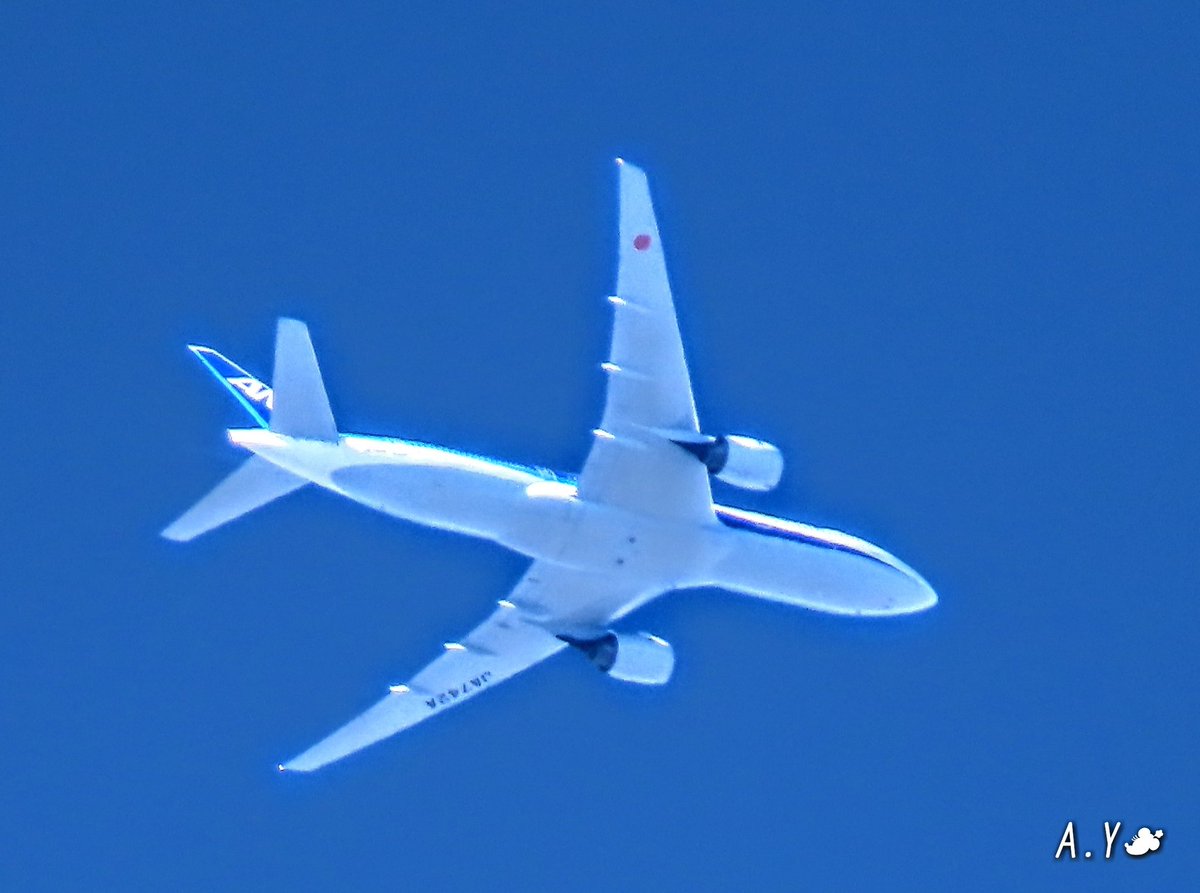 yumeasutw's tweet photo. 青空を行く✈️
🌬️北風が吹き抜ける
視界良好の青空を、
機体を✨キラキラと輝かせ
新千歳空港と函館空港を目指し
快調に飛び行く飛行機✨✈️✨
あぁ~💙
私も空を飛んで
行けたらなぁ(*´∀)ノ
#飛行機
#ANA
#ソラマニ_ヒコウキ
#青空 #bluesky
#a2020 #a1128 #a202011 #a20201114 https://t.co/duVhN3FADh