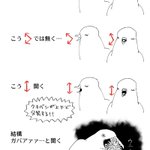 幸せの青い鳥ってほんとうにいた マウンテン ブルーバードが名前以上に青くてキレイなので見ていってください Togetter 幸せの青い鳥ってほんとうにいた マウンテン ブルーバードが名前以上に青くてキレイなので見ていってください Togetter