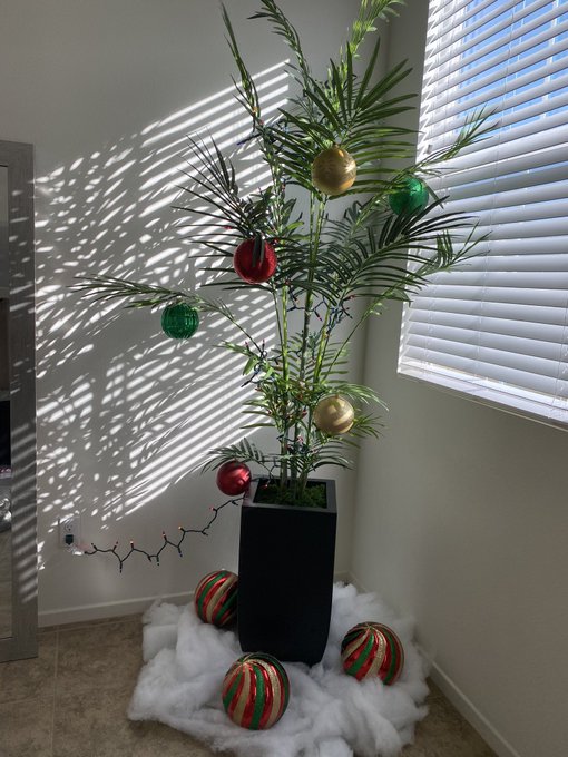 The best Christmas tree ?? https://t.co/QTNdR3CnCJ