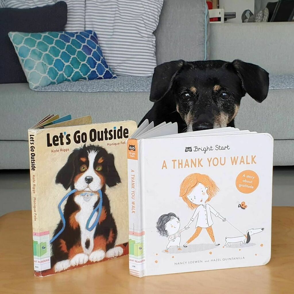 weliveinaflat's tweet photo. Mom says I’m too fat for turkey so she borrowed Little P and I exercise books from the library. Happy weekend!

Book review of two take the dog out for a walk picture books now on the blog at https://t.co/U5vbsU2oTV 

Do I look the part of a book criti… https://t.co/znfBvJxMgs https://t.co/jA5ymYO9M9