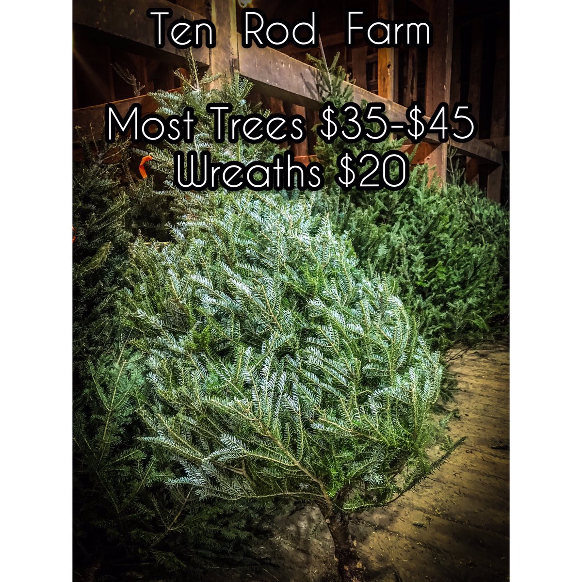 TenRodFarm's tweet image. Come visit us this weekend. We have fresh cut Christmas trees, wreaths and NH maple syrup in our barn. We also have gift items from Joy Lane Farm. A portion of sales will be donated to benefit Gerry’s Food Pantry (SHARE Fund) in Rochester this year. We are open Sat&amp;amp;Sun 10am-4pm.