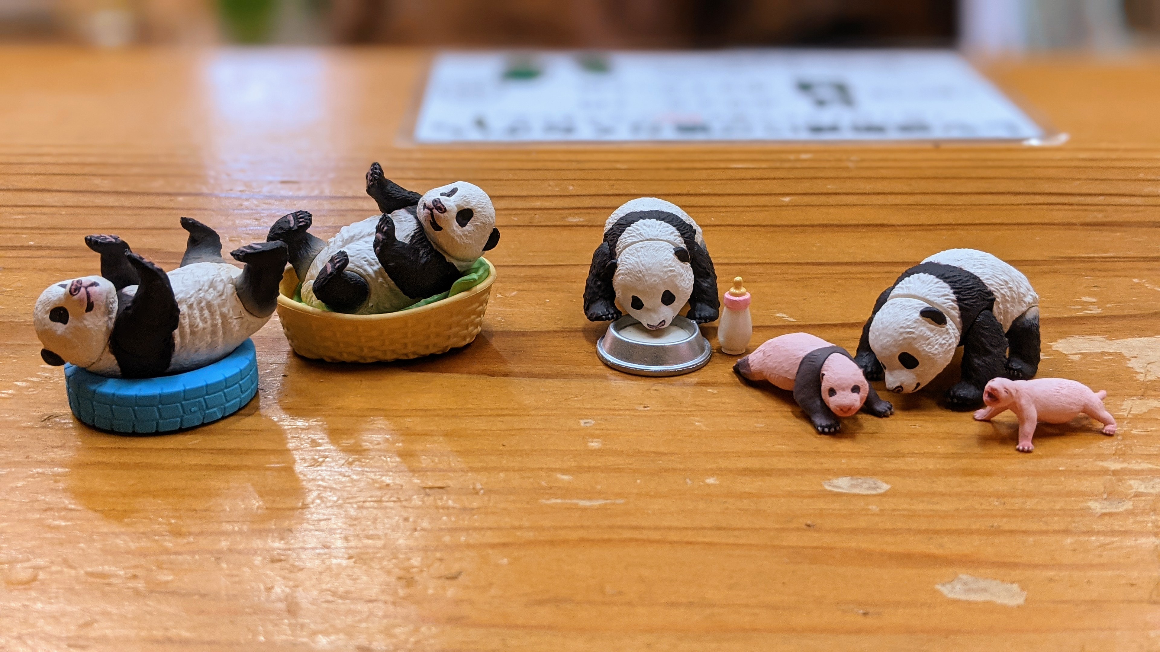 海洋堂かっぱ館 公式 新しいガチャガチャ入荷しましたよ 子パンダ日和 全４種 1個400円で販売中です 8 ノ 生まれたての赤ちゃんパンダフィギュアは約２センチ というとたしかカンガルーの生まれたての赤ちゃんと同じサイズくらい 海洋堂