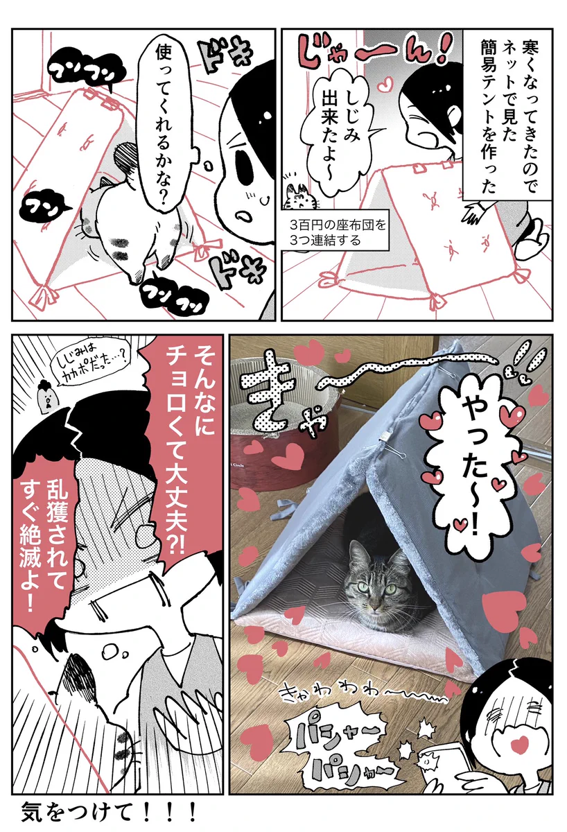 愛猫のために簡易テントを作ってみたら？あっさり入ってくれた！