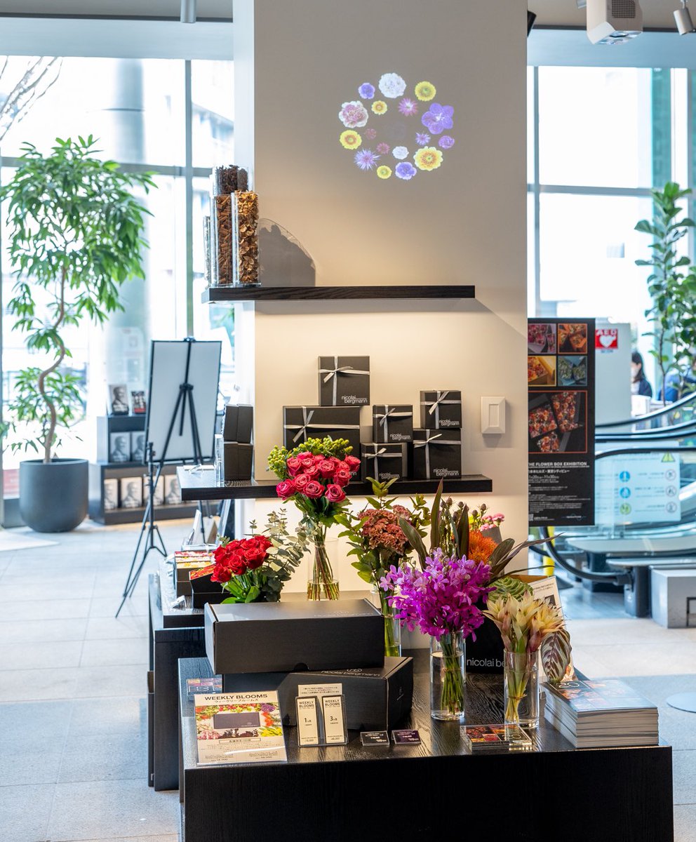 六本木 蔦屋書店 The Flower Box Exhibition 六本木ヒルズ 東京シティビューのニコライ バーグマン 展覧会は11 30まで 六本木 蔦屋書店限定デザインのプリザーブドフラワーボックスをはじめとしたフラワーアイテムの販売を開催中 また オンライン 六本木 蔦屋書店 The Flower Box Exhibition 六本木ヒルズ 東京シティビューのニコライ バーグマン 展覧会は11 30まで 六本木 蔦屋書店限定デザインのプリザーブドフラワーボックスをはじめとしたフラワーアイテムの販売を開催中 また オンライン