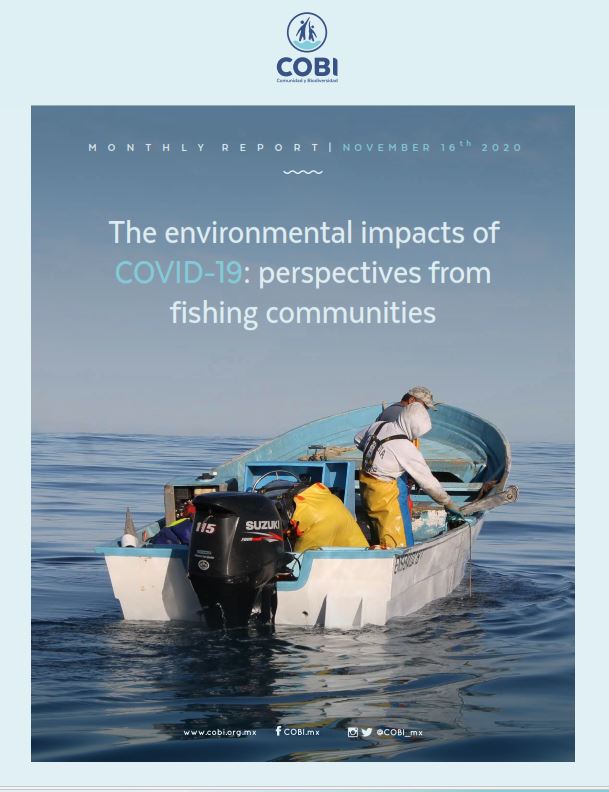 Genderaquafish's tweet photo. https://t.co/yxecBkWIXY COBI (Mexico) continues excellent survey report series covid-19 impacts on fishing communities. Dealing with treatment of waste, impacts of fishing on environment, this one finds social media buzz on covid has died down suggesting a "new normal" attitude? https://t.co/pu1jS7WHYC