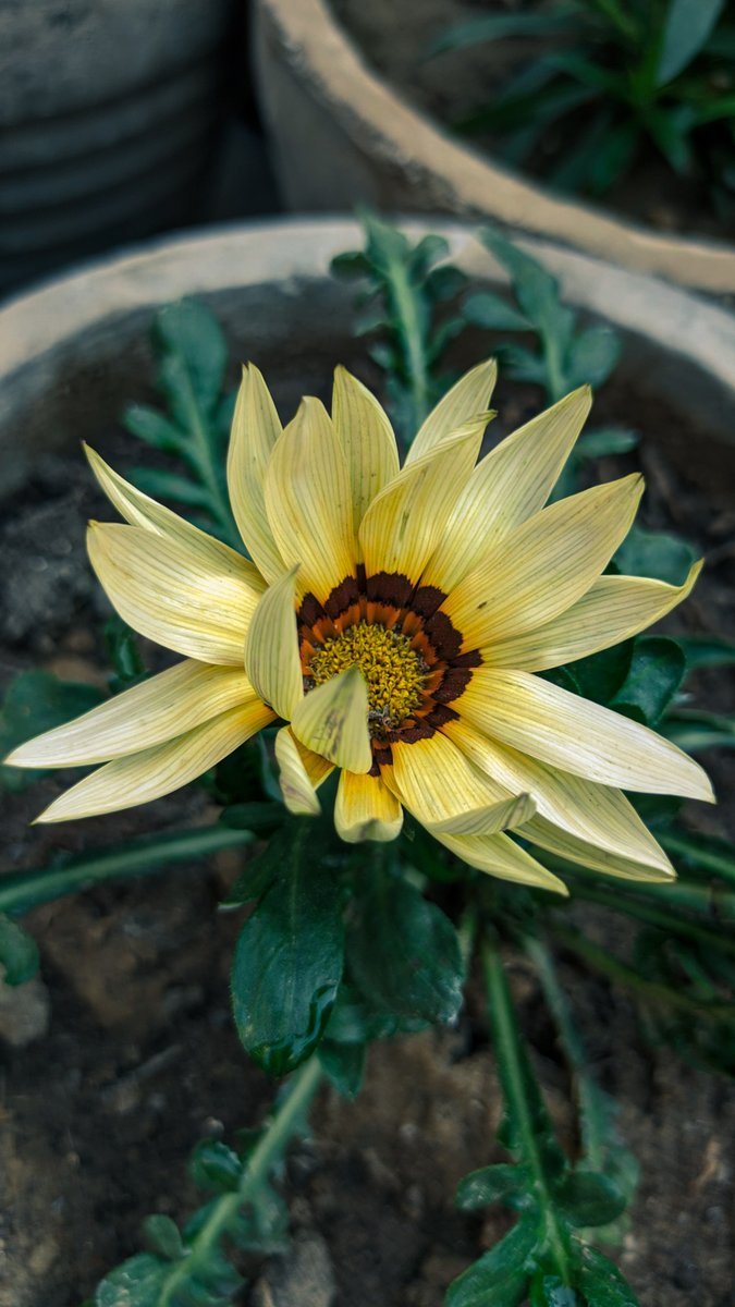 hashtagkaran's tweet image. Hey, 
You get this feed in your feed 
and I want your opinion on this.
#photography #photo 
#PhotoOfTheDay #photographers