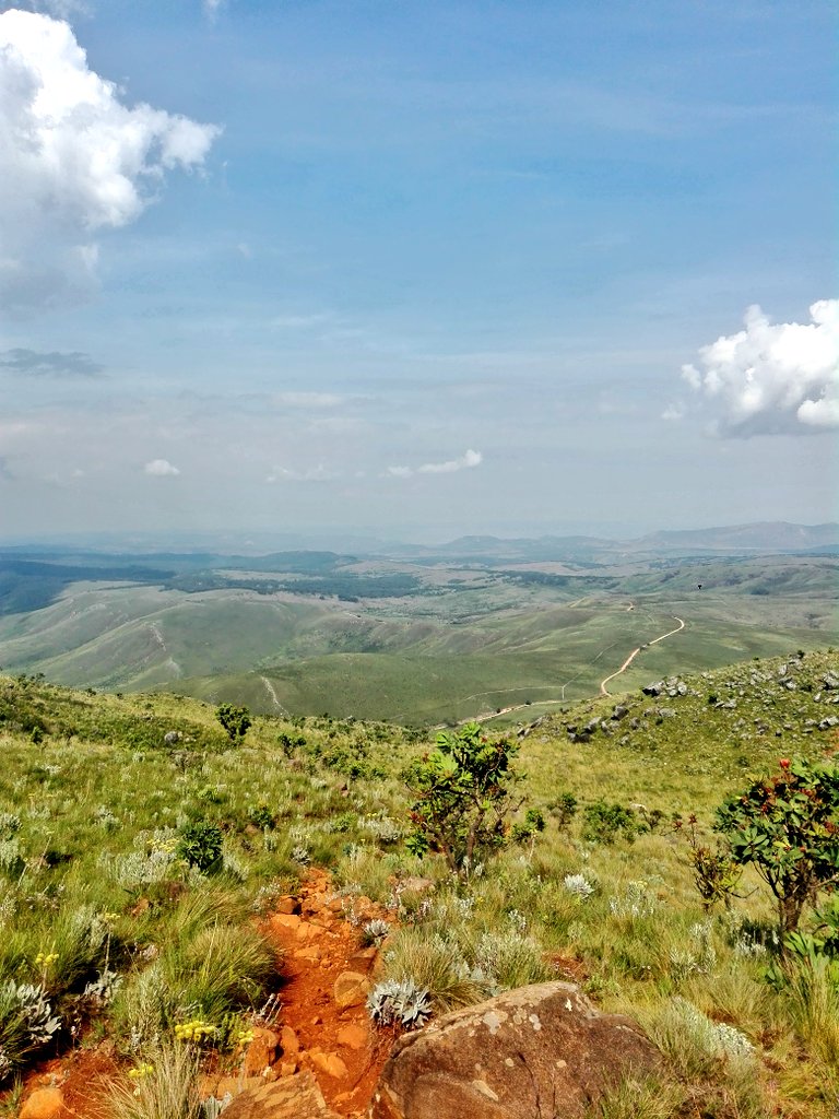 Sarutheone's tweet image. Kwandinobva!!