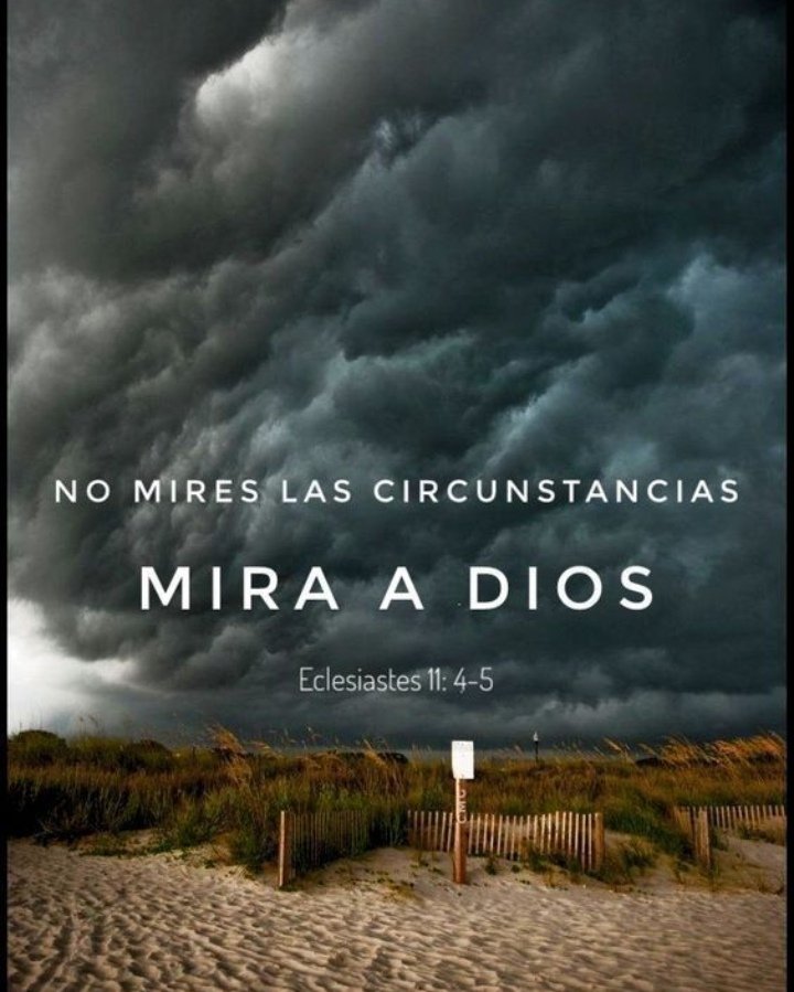 arieldragon's tweet photo. No mires la dificultad  solo a Dios https://t.co/cgTJVOx75x