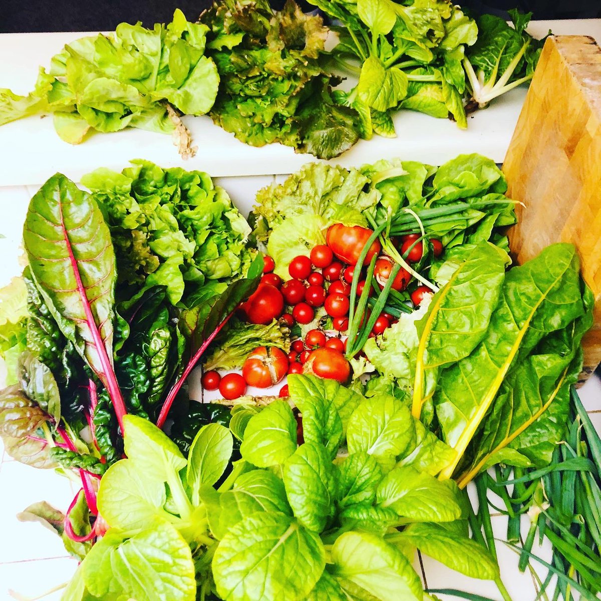 GeorgiaVanC's tweet photo. Farm time... thank you for this moment of calm. Even better when helpers get to take home fresh veggies for them and their Mum!! #grateful #farm #fArming #friends #calm #serenity #love @thelamission #homelessness #hope #health #healthyfood #healthyproduce #skidrow #urbanfarm https://t.co/LQEYNJZBsf
