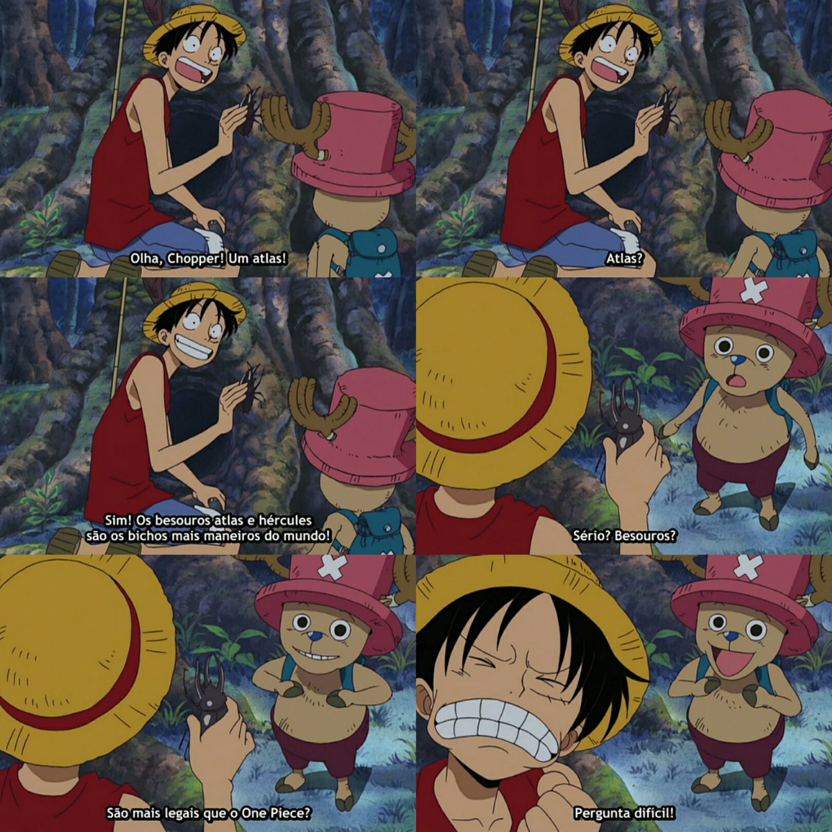 MGeoise's tweet image. O modeuso olha o rostinho do chopper, aaaaaaaaa vo morrer de amor