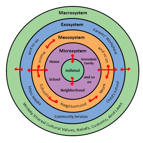 Экологическая модель бронфенбреннера. Systems theory management. Ури бронфенбреннер теория. Systems theory management. System theory.