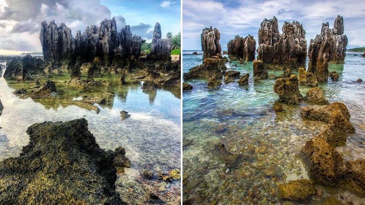 பாஸ்பேட்டை வெட்டி எடுத்தன. அரசுக்கு ஏராளமான வருமானம் வந்தது.ஒரு கட்டத்தில் 10,000 பேர் மட்டுமே உள்ள நாட்டின் அரசிடம் 170 கோடி டாலர்கள் இருந்தன. கணக்குபோட்டால் நபர் ஒருவருக்கு ஒன்றரை லட்சம் டாலர்.அதாவது நால்வர் அடங்கிய குடும்பத்துக்கு தலா 1கோடி அரசால் கொடுத்திருக்கமுடியும்.