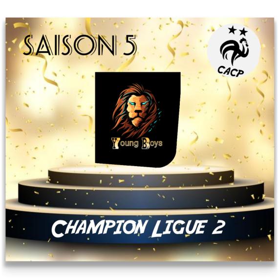 Fin de la saison 5 en ligue 2

C'est Young Boys qui s'empare de la 1ére place et jouera en ligue 1 pour la saison 6 !