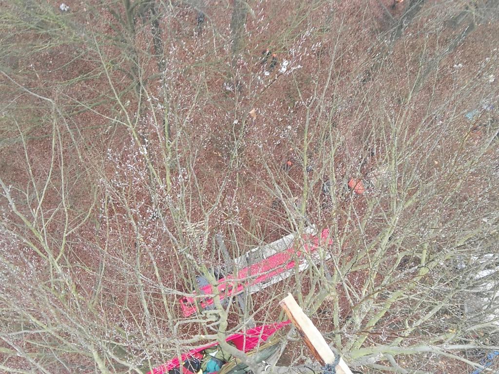 danni_douglasie's tweet photo. crane is parking just underneath monopod tree https://t.co/p1Rq0keJNw