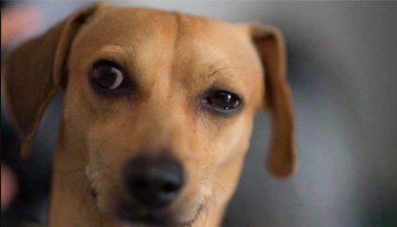 Susana__Perez's tweet photo. Nadie:

Mis ojos cuando me hago fotos: https://t.co/e4DbZZBW3Y