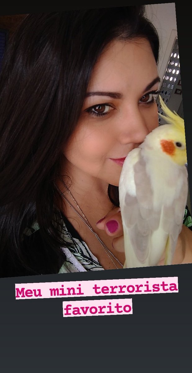 ViSeixas's tweet photo. https://t.co/88dUMJ4mHU