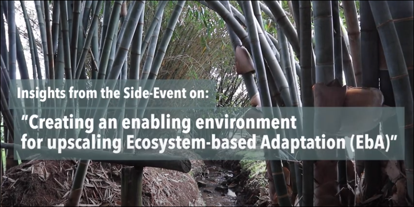iki_germany's tweet photo. Watch this video on ‘Creating an Enabling Environment for Upscaling Ecosystem-based Adaptation (EbA)’ that presents insights from an event which took place during the #GlobalSoilWeek 2019 in Nairobi, Kenya. https://t.co/iCmvvX6kkg @tmggroupptyltd @WWF_MAR @WOTRIndia @moefcc https://t.co/HTvGzGqeBb
