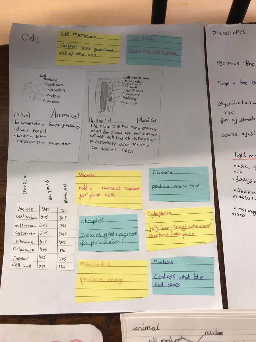 RBHSScience's tweet photo. Year 7 putting their revision strategies into practice and demonstrating their knowledge in the Cells topic! Amazing effort and enthusiasm shown. Keep up the good work Year 7, Mrs Hussain is very proud of you. #ScienceSuperstar π₯Όπ¬π https://t.co/fuSbRmr4Cy