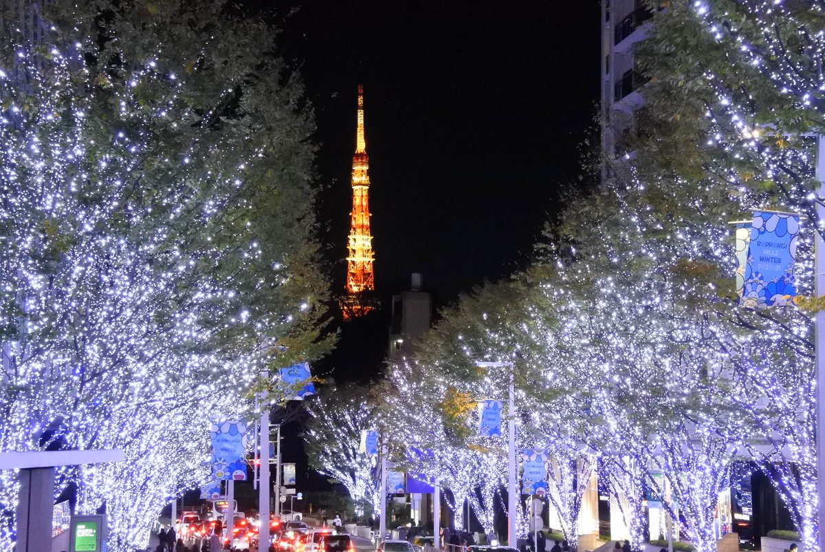 Koheeeeeeee8's tweet photo. 今日は隔離期間終わって久々のお出かけ！
いろんな姿みれて綺麗やった！ https://t.co/DWwBm4wEyg