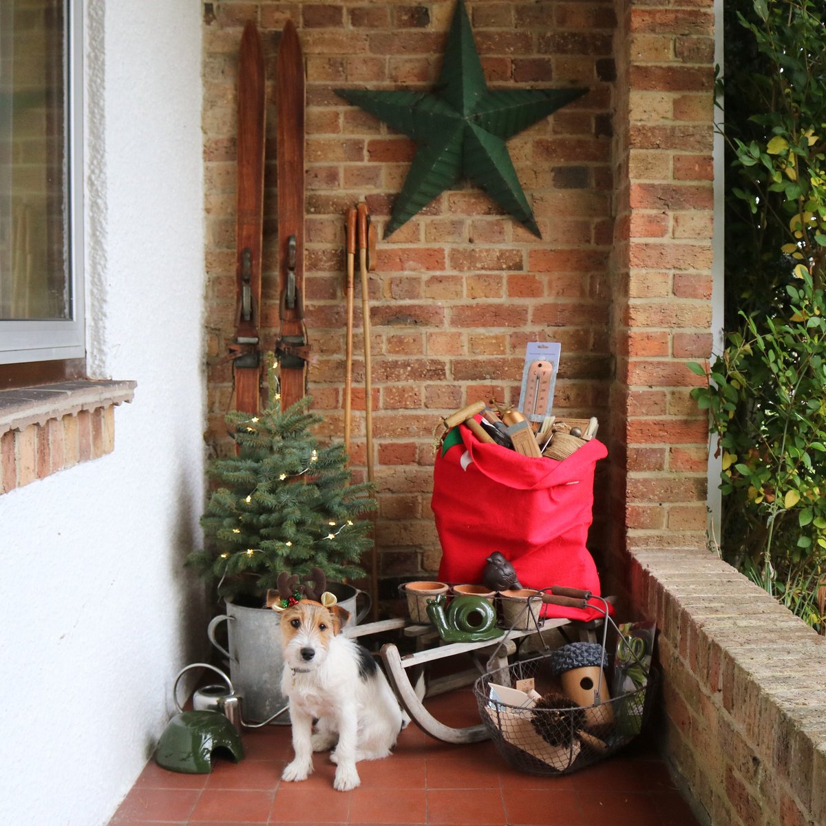 It's #shopsmallsaturday and we had a special little visitor at the Lavender and Leeks HQ yesterday! #giftsforgardeners #teddythereindeer